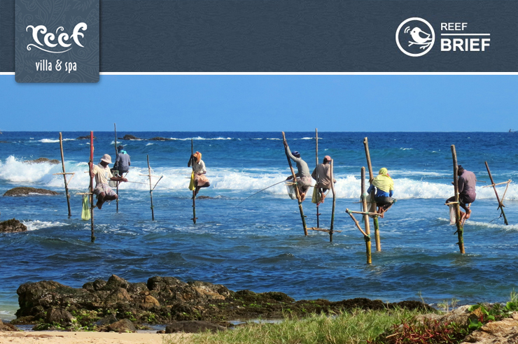 Stilt Fishermen