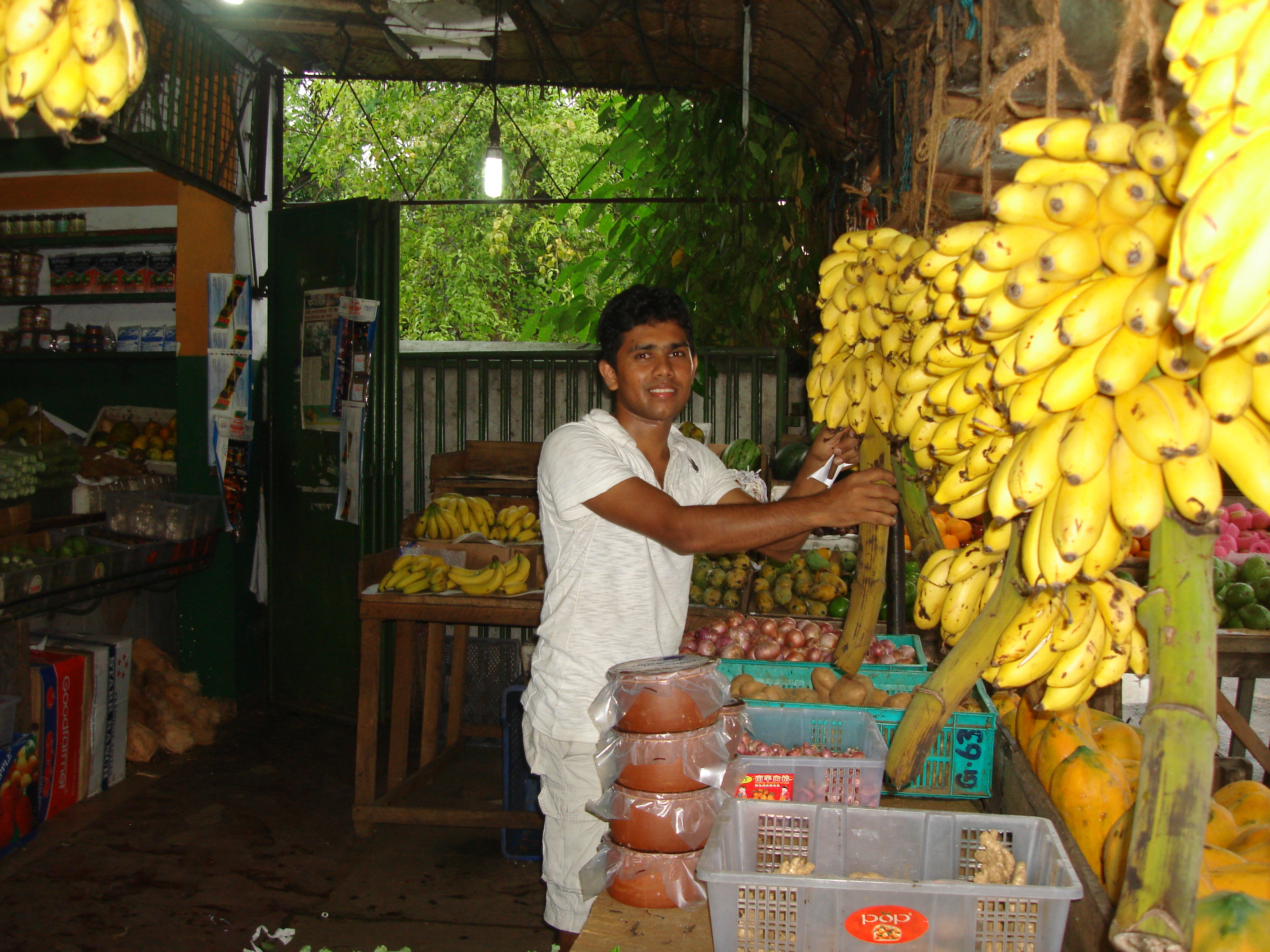 Bananas