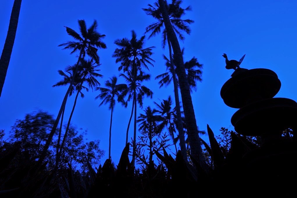 Earth Hour 28 March 2015 @ Reef Villa & Spa Sri Lanka
